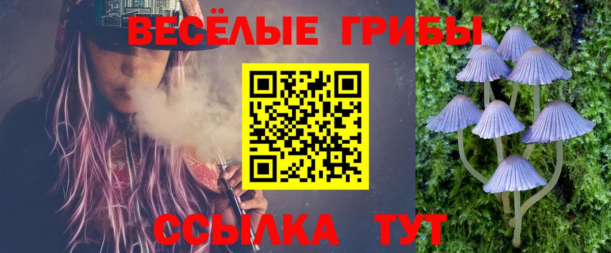 Галлюциногенные грибы MAGIC MUSHROOMS Егорьевск