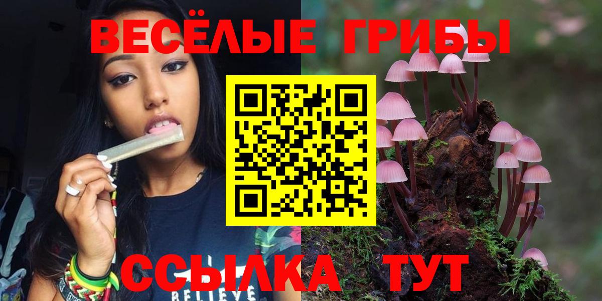 Псилоцибиновые грибы Psilocybine cubensis  Галлюциногенные грибы мицелий  Вход с VPN  Егорьевск 